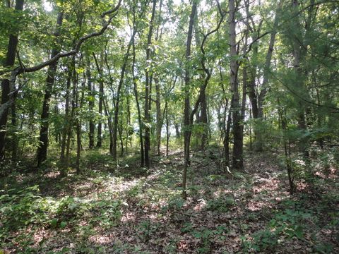 Photo of Parcel C 16th Avenue, Grand Junction, MI 49056 (MLS # 26007413)