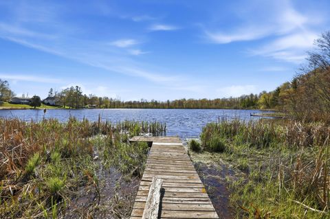 Photo of 6059 Terry Drive, Six Lakes, MI 48886 (MLS # 26018795)