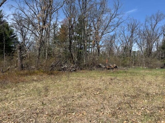 S JAMES RD, BALDWIN, MI 49304 - Image ec469d8e46f307a357031084f4f68ebe/2125653151