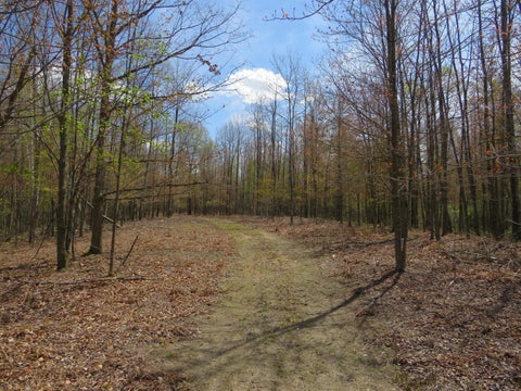 Photo for N Chippewa Road