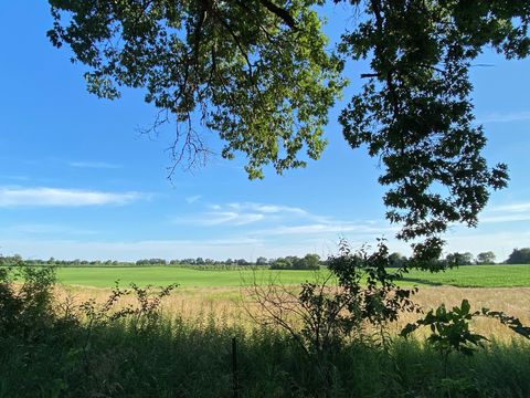 Photo for 9341 EF Avenue E, Richland, MI 49083 (MLS # 25036502)