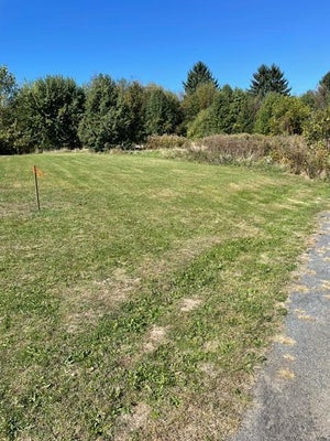 PARCEL 2-B NILES ROAD/M-63, ST. JOSEPH, MI 49085 - Image ecd8ab2f9424b17c3918a2d6954cf8a2/199809556