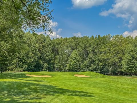 7480 Regency Lane Canadian Lakes MI 49346