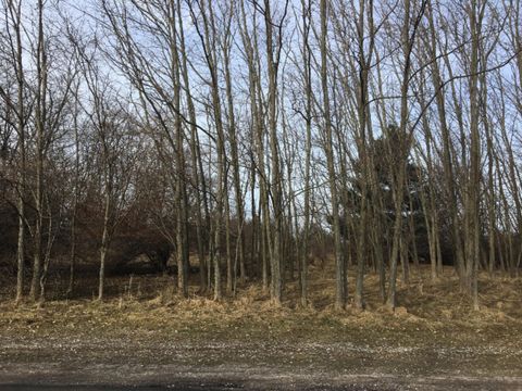 Photo of 0 12th Street, Manistee, MI 49660 (MLS # 26002746)