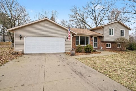 Photo of 306 Davis Street, Paw Paw, MI 49079 (MLS # 26009272)