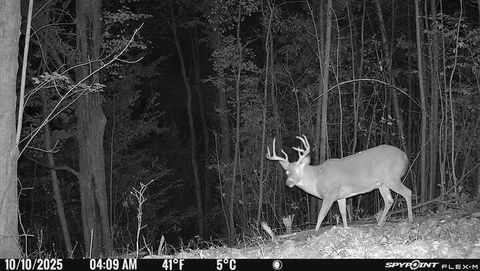 Photo of 40 Acres +/- 150th Avenue, Leroy, MI 49655 (MLS # 25021677)