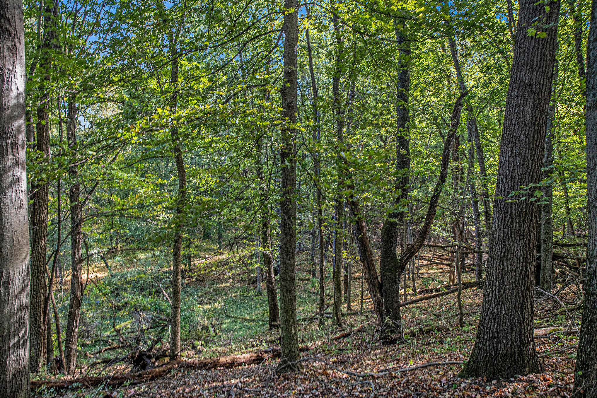 Richland, Michigan 49083, United States, ,Land,Active,225160