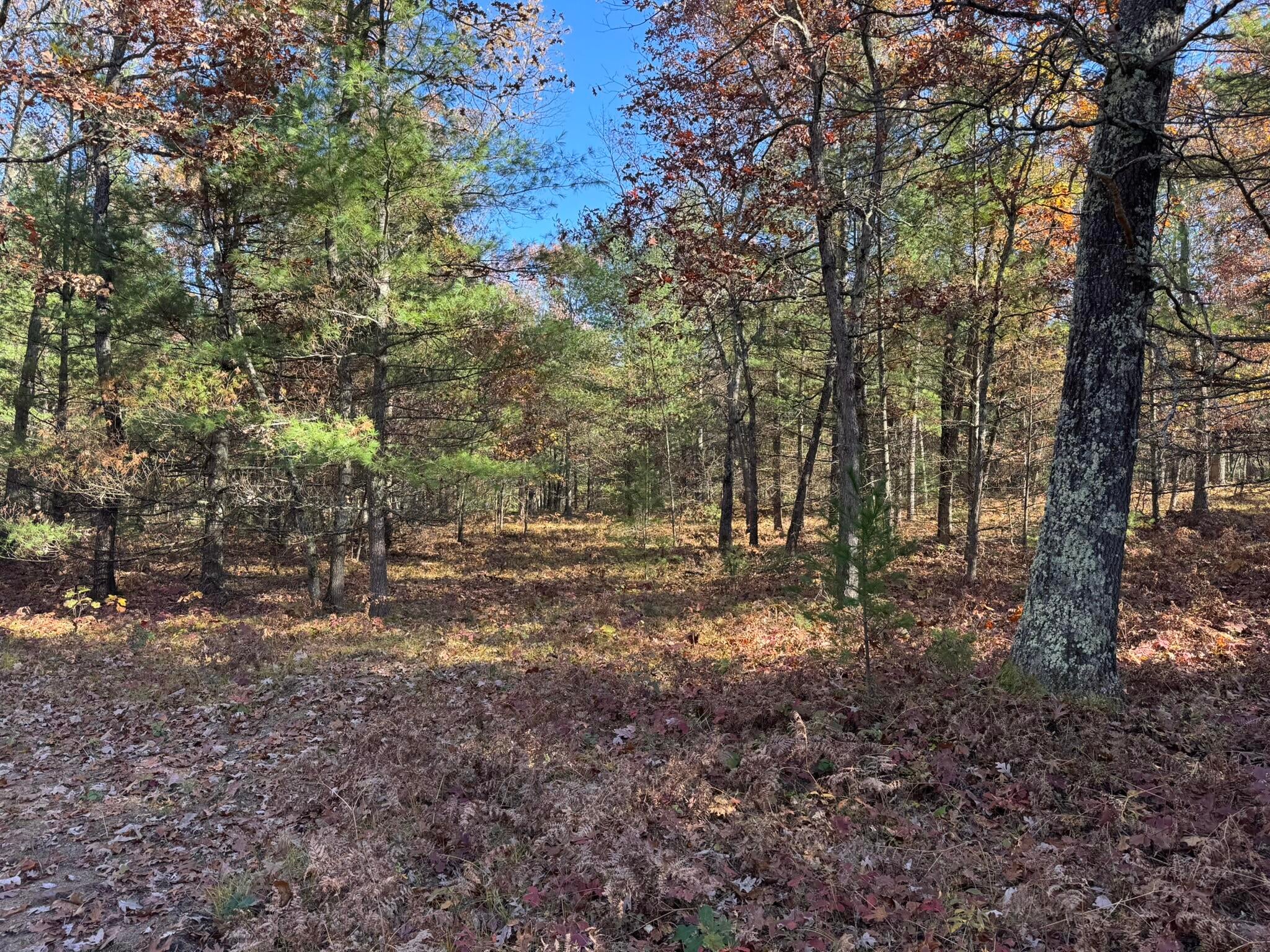 Listing 29