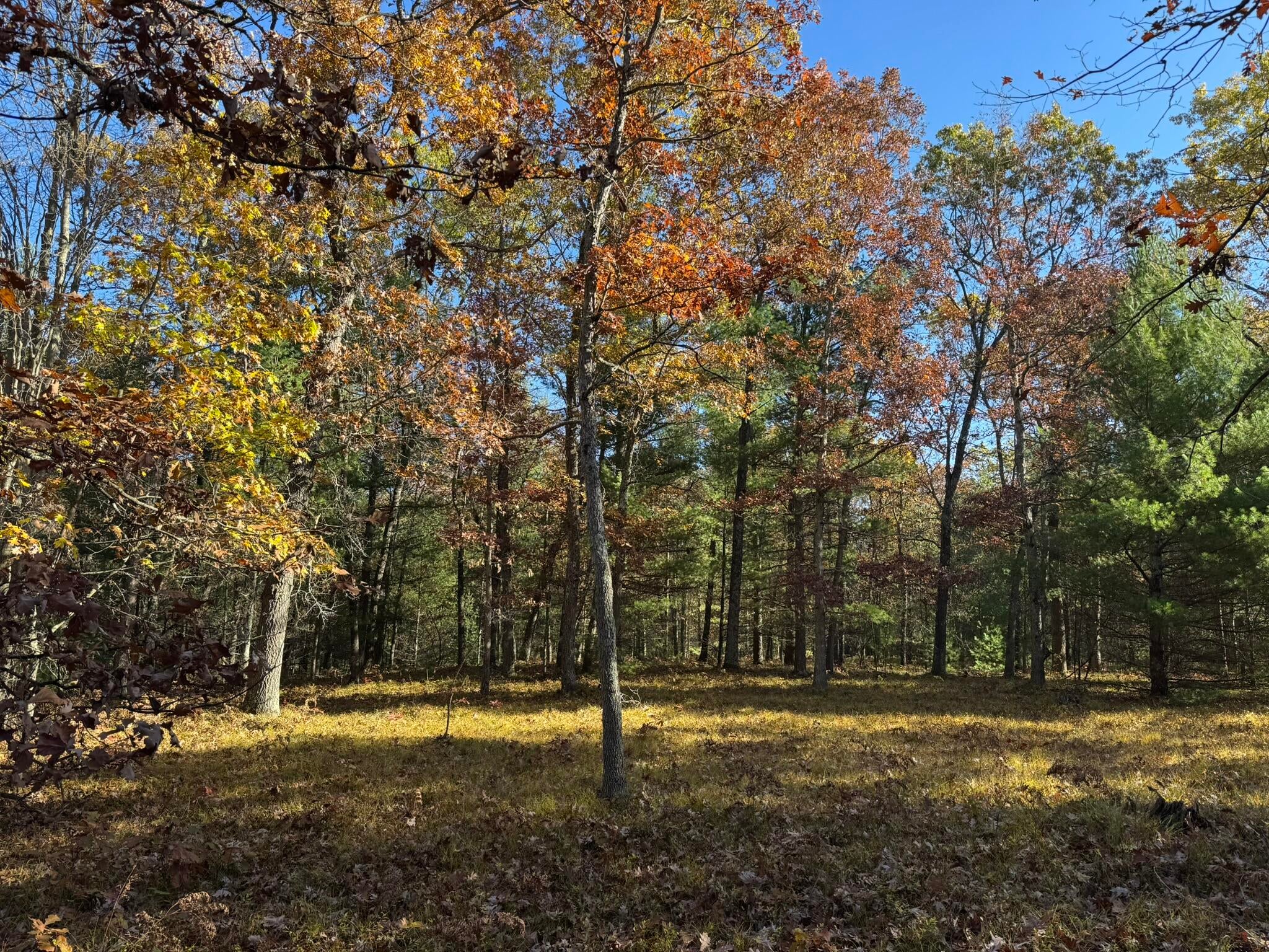 Listing 29