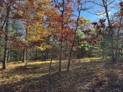 Photo of Parcel 4 County Line Road, Free Soil, MI 49411 (MLS # 26009980)