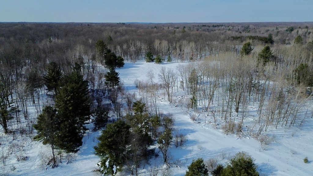 Photo of N N Felch Ave Avenue, White Cloud, MI 49349 (MLS # 26005551)