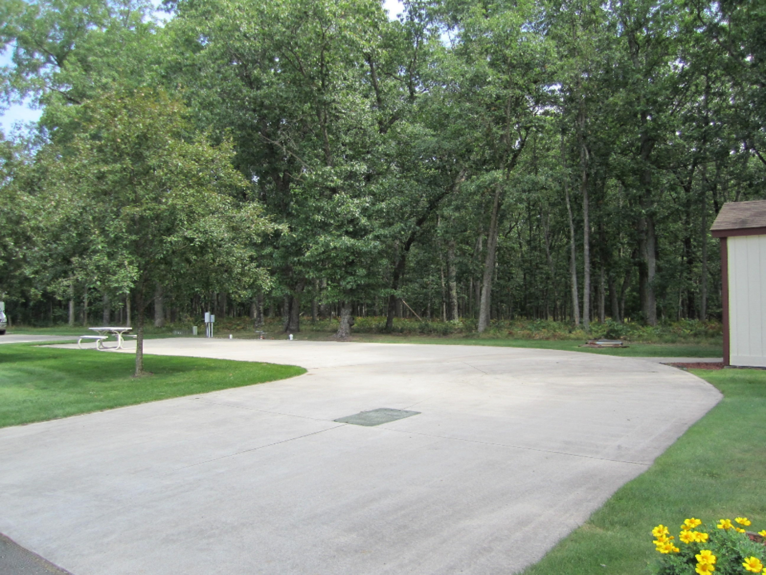 Baldwin, Michigan 49304, United States, ,Land,Pending,33613