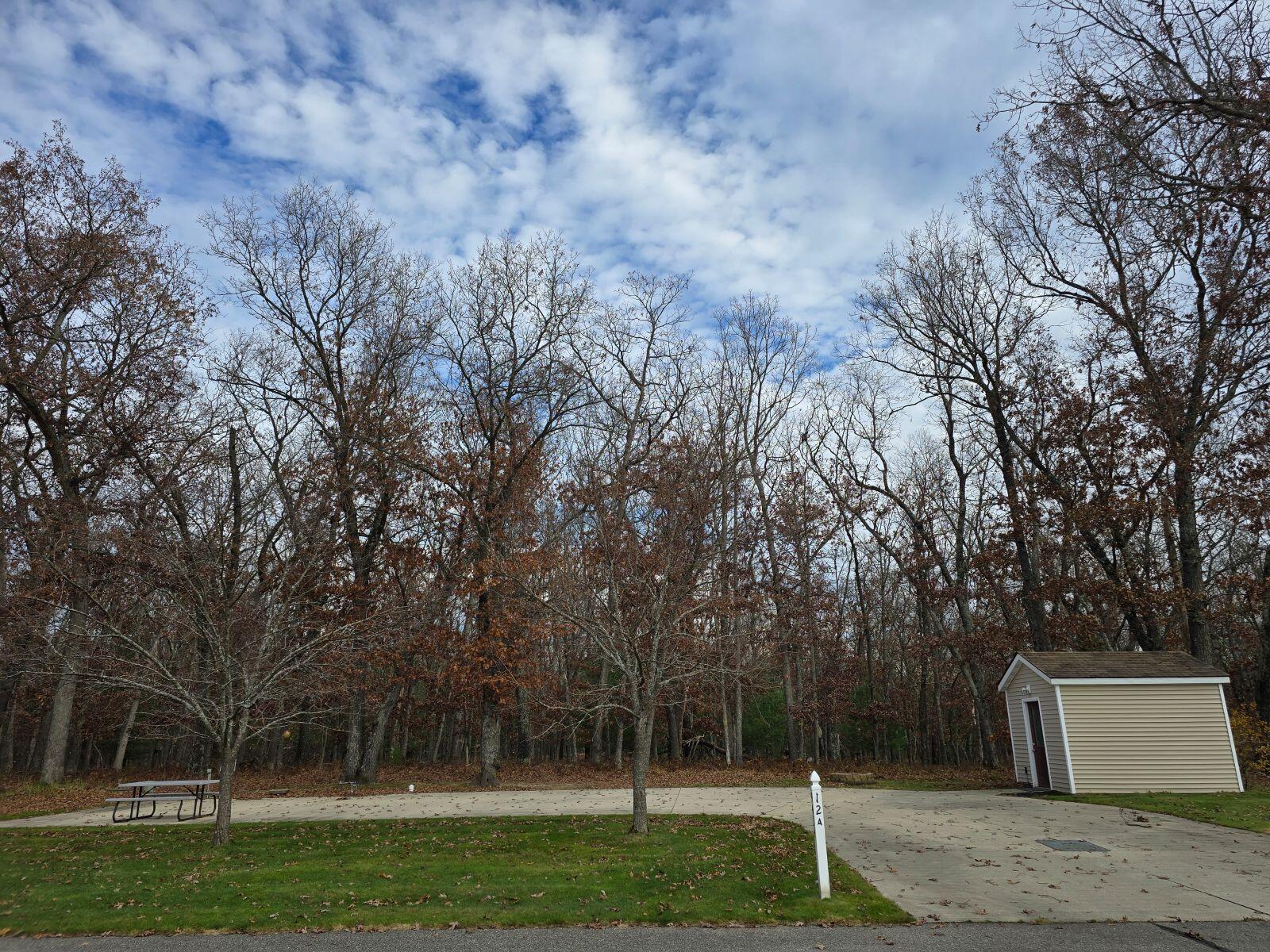 Baldwin, Michigan 49304, United States, ,Land,Pending,33613