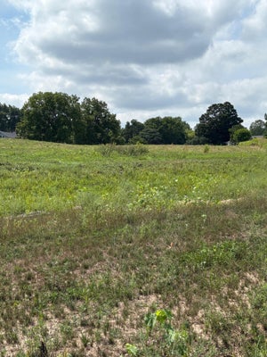 10785 WINDWARD AVENUE SW, BYRON CENTER, MI 49315 - Image f034d25779cb8de40634dd15ca2269db/522503520