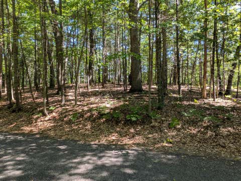 Photo of Ottawa Lane #Lot 50, Pentwater, MI 49449 (MLS # 26044699)
