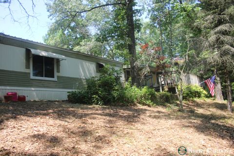Photo of 4855 Juniper Avenue, Newaygo, MI 49337 (MLS # 26018938)