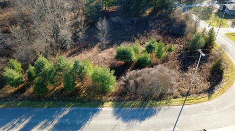 Edgewood Drive Big Rapids MI 49307