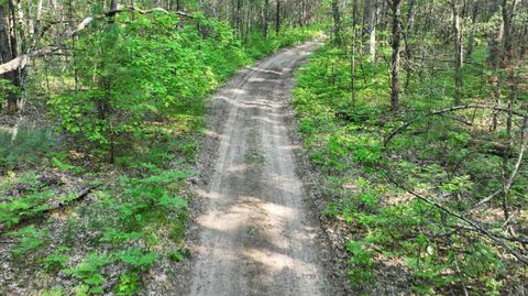 Photo of V/L Benson Rd / Frd 5259, Free Soil, MI 49411 (MLS # 26018479)