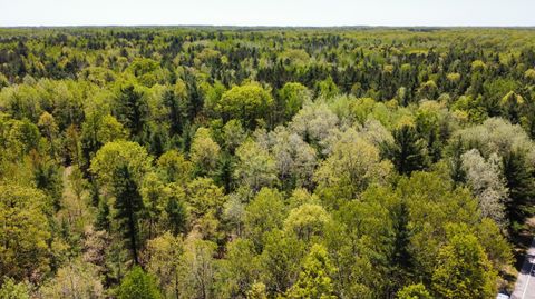 Photo of Red Apple Road, Manistee, MI 49660 (MLS # 24019793)
