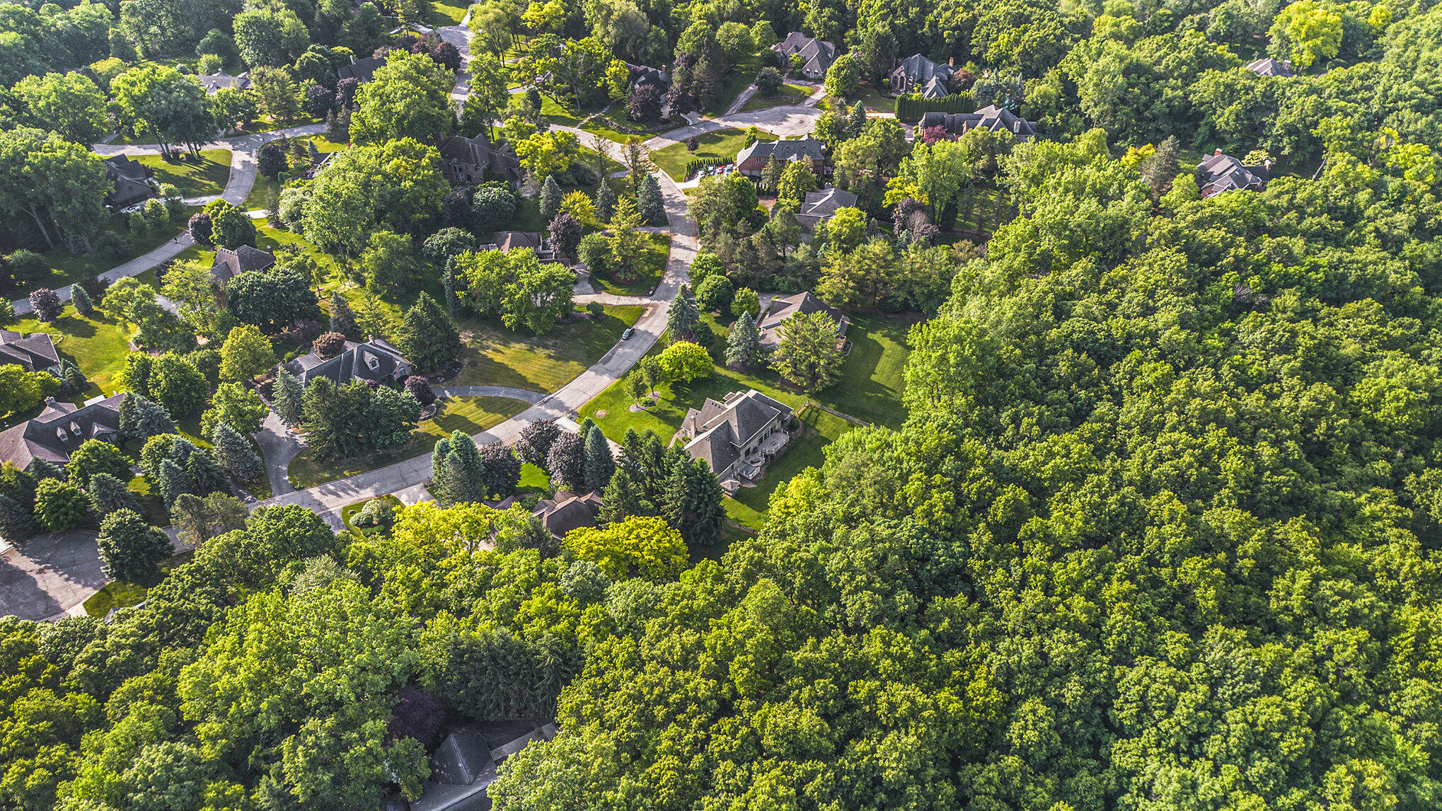 Washington, Michigan 48094, United States, 4 Bedrooms Bedrooms, ,5 BathroomsBathrooms,Residential,Active,185725