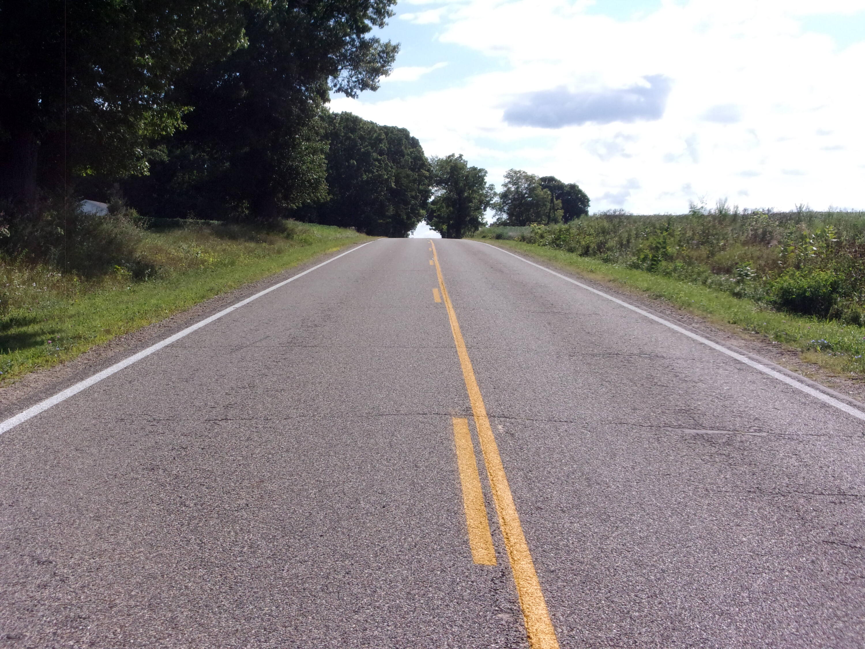 Burr Oak, Michigan 49030, United States, ,Land,Active,198251