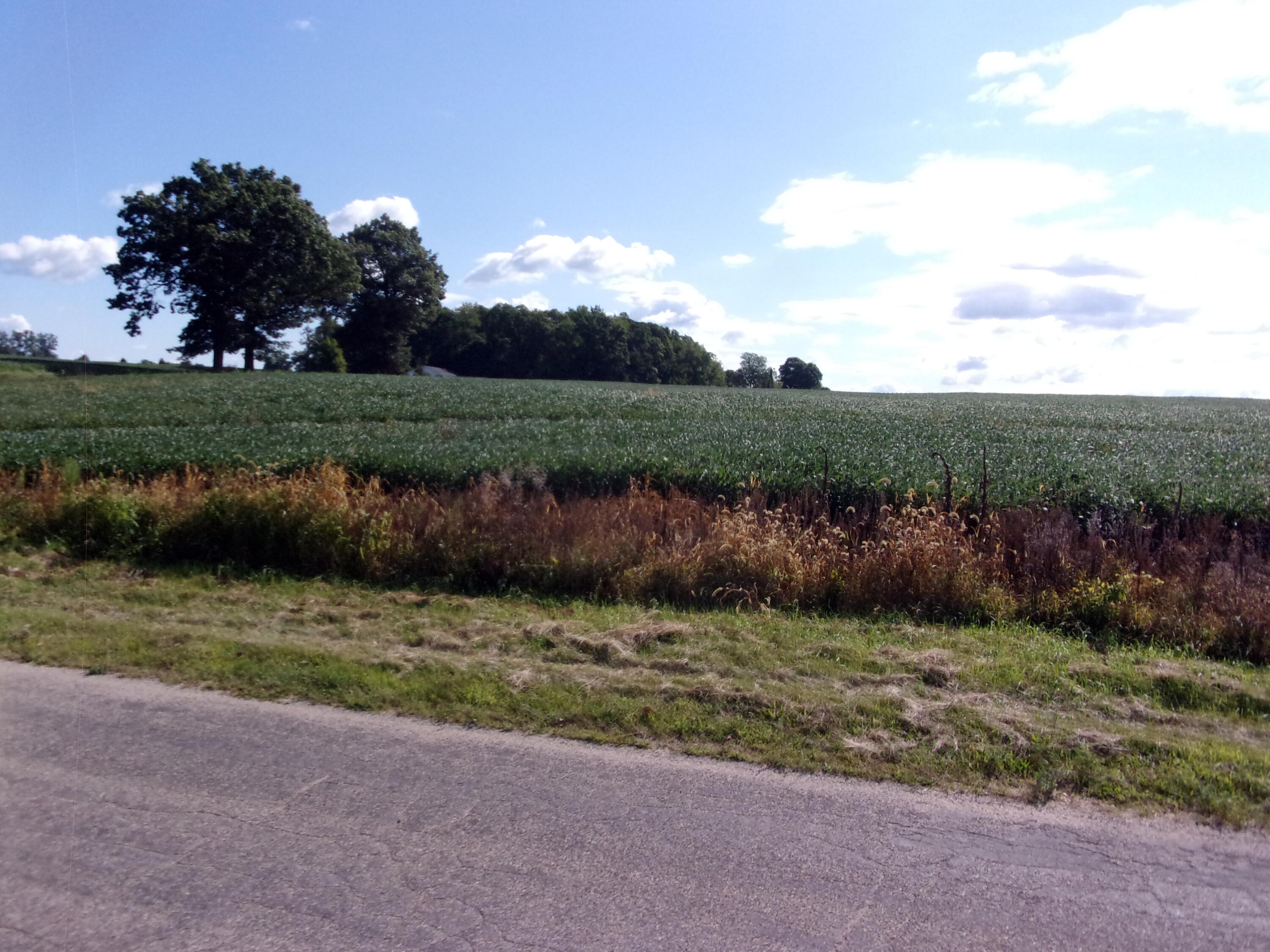 Burr Oak, Michigan 49030, United States, ,Land,Active,198251