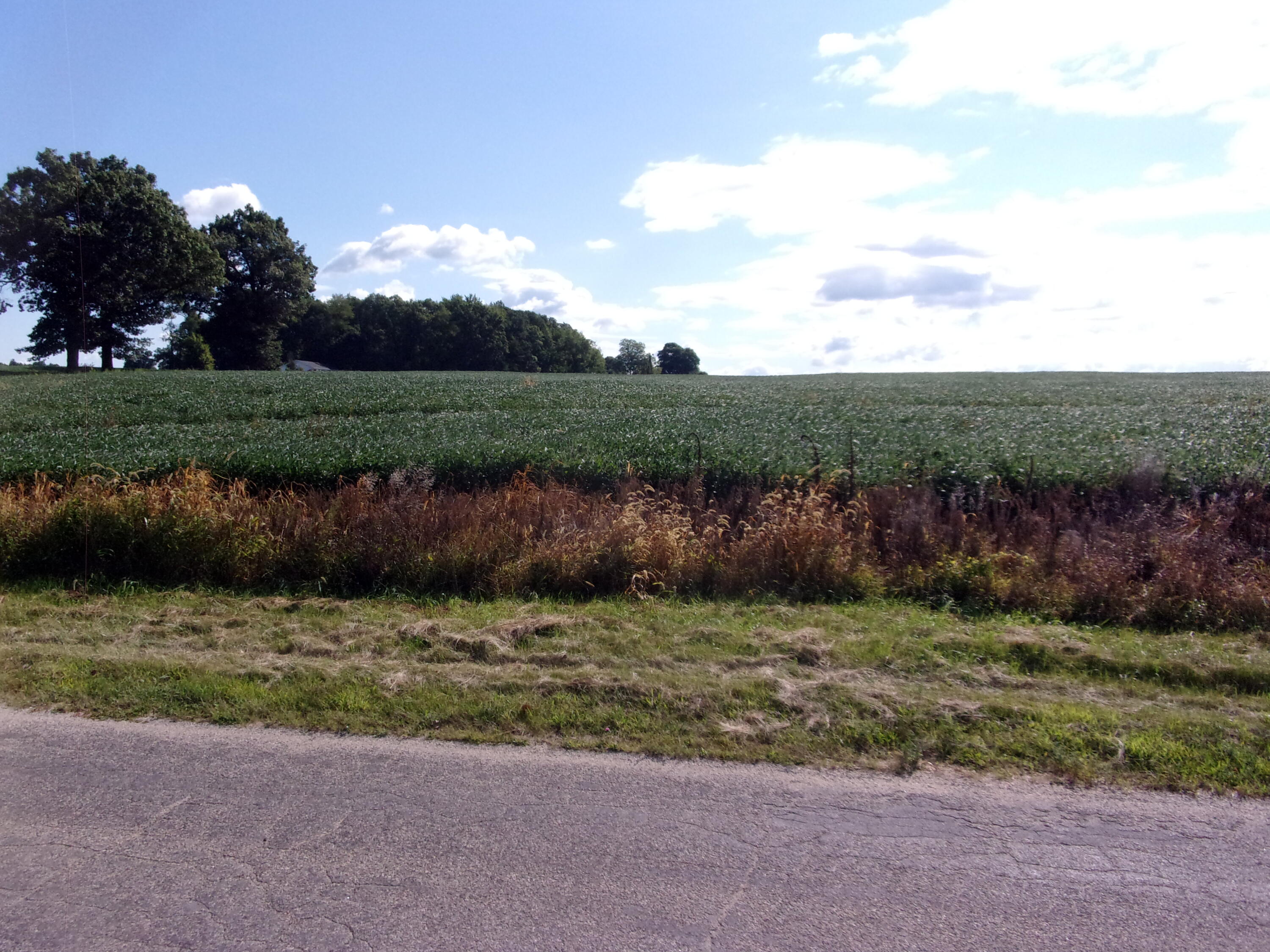 Burr Oak, Michigan 49030, United States, ,Land,Active,198251