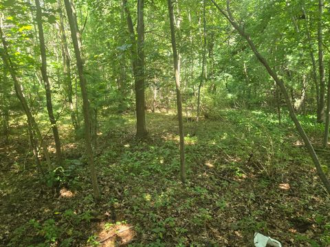 Photo of VL Whitehall Road, Whitehall, MI 49461 (MLS # 25043404)