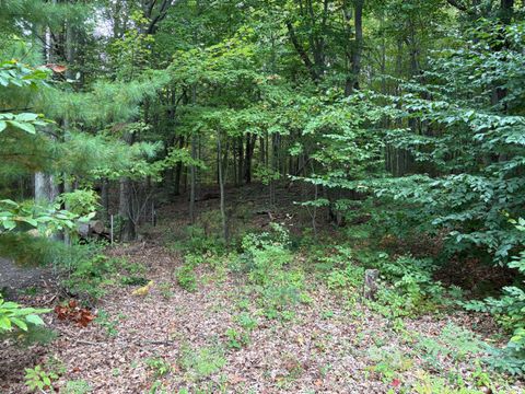 Photo of Lot 62, 14th Avenue, Mears, MI 49436 (MLS # 25048784)