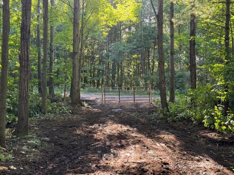 Photo of Par 2 Clements Road, Kaleva, MI 49645 (MLS # 26048318)