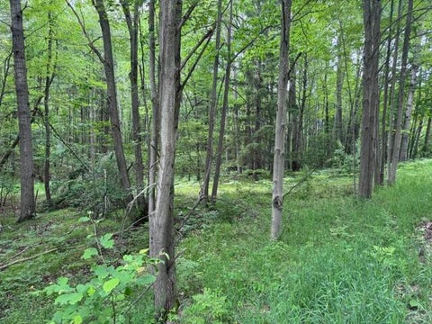 Photo for 142 Hills Circle