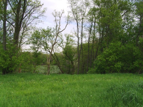 Photo for 
