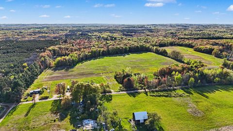 Photo of 185 N 160th Avenue, Hart, MI 49420 (MLS # 26022794)