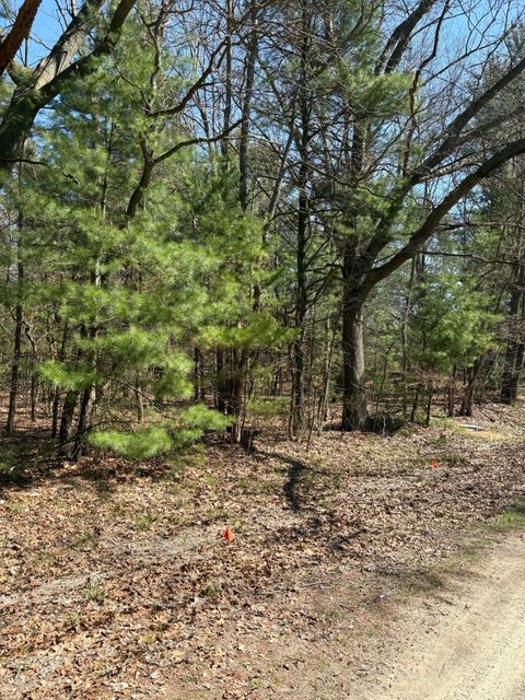 Photo of V/L Fenner Road, Muskegon, MI 49445 (MLS # 26017131)