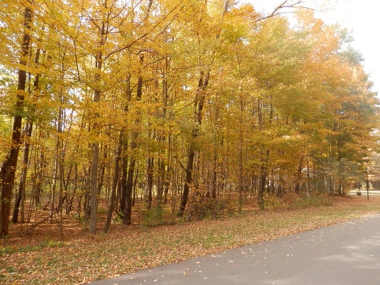 HARLAN DR, WATERVLIET, MI 49098 - Image f3ec7eaaa90703db271c8fdec82fb461/818435181