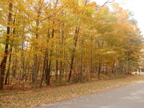 Photo of 1 Harlan Drive, Watervliet, MI 49098 (MLS # 25035478)