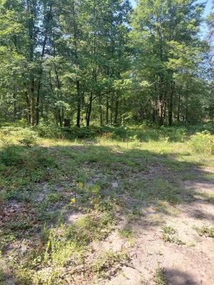 2807 S EVERGREEN DR, WHITE CLOUD, MI 49349 - Image f48aeae3051d9c1ea7599c2232ff4c2d/400331450