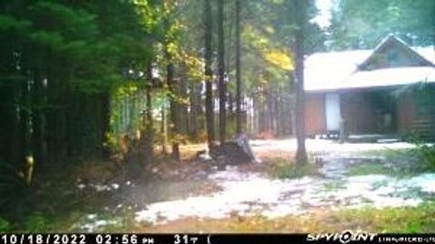 Photo of 00 S Hendrie River Road, Hulbert, MI 49748 (MLS # 25023270)