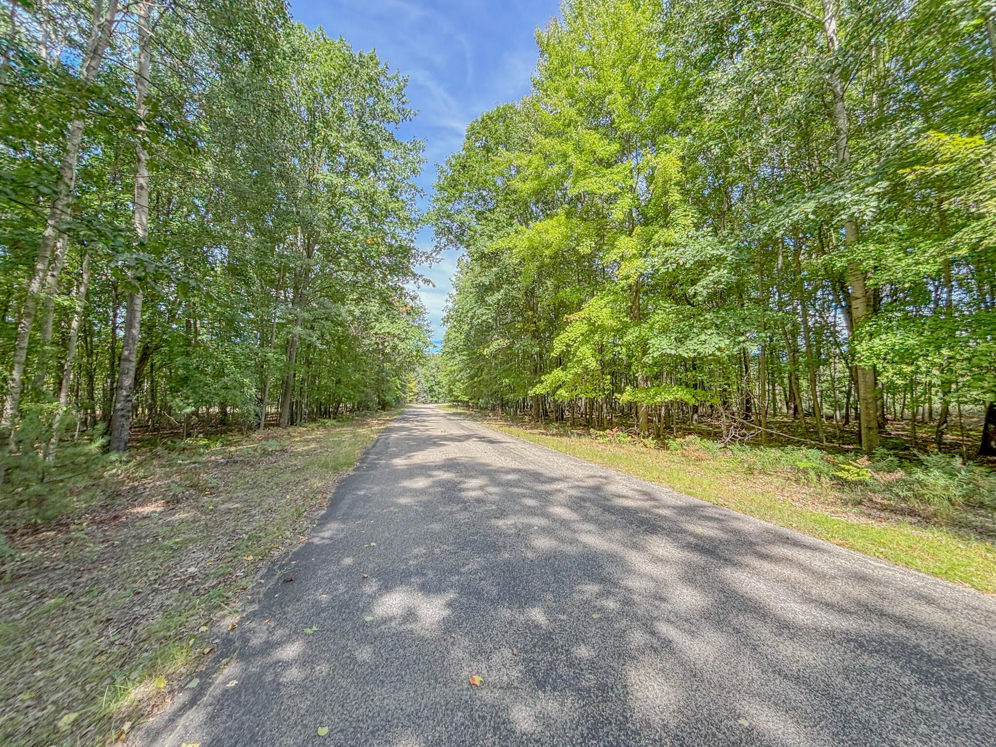 6336 Abbey Lane