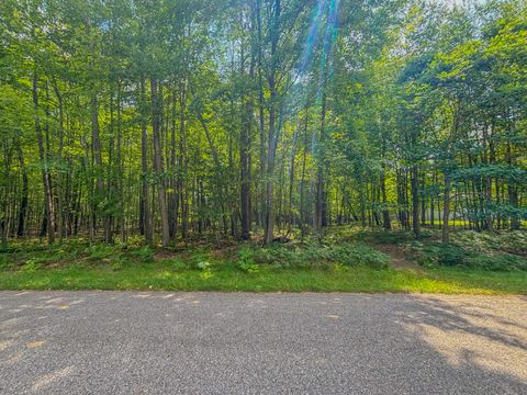 9385 Clubhouse Drive W Canadian Lakes MI 49346