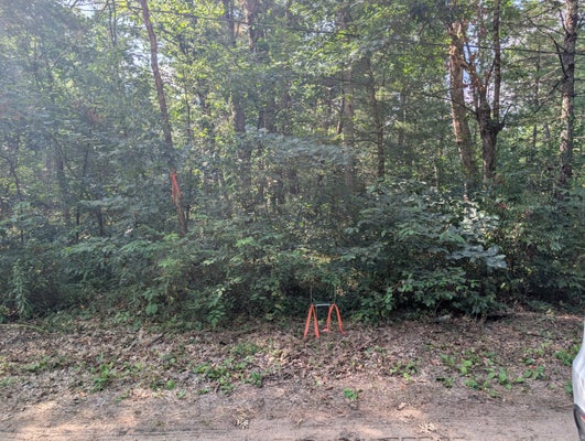 LEWIS ST, BALDWIN, MI 49304 - Image f5878bd35b3f40baffa97ca32ef17950/724451207