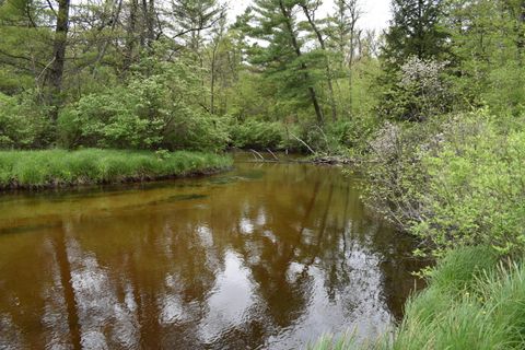 Photo of 00 S Ever Blooming Drive, Baldwin, MI 49304 (MLS # 25022930)