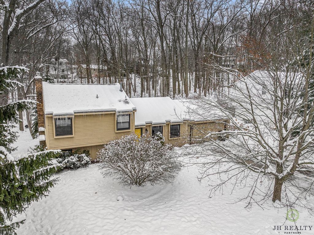 Photo of 446 Adaway Avenue SE, Ada, MI 49301 (MLS # 25061698)