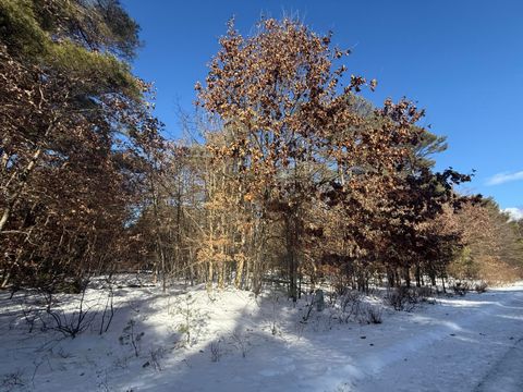 10934 Dobbyn Drive Stanwood MI 49346