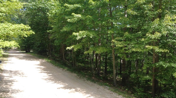 11113 RAMBLING WAY, CANADIAN LAKES, MI 49346 - Image f672a54ad86c729e5287a7f690faee7a/2395853635