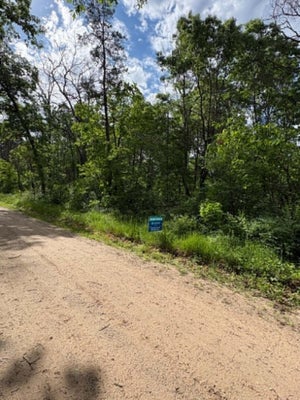E LYNNDON ST, IDLEWILD, MI 49642 - Image f6b340a8c7af74b9e9eec4b6fd8a72d8/4113923152