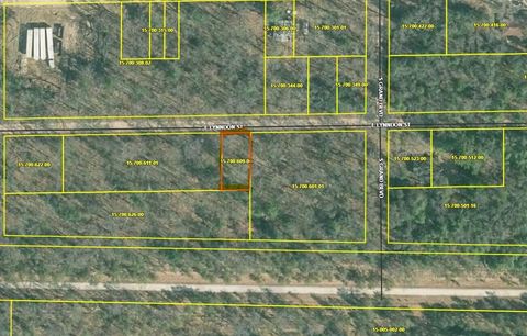 Photo of VL E Lynndon Street, Idlewild, MI 49642 (MLS # 26008962)