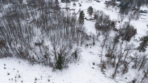 Canadian Lakes MI 49346