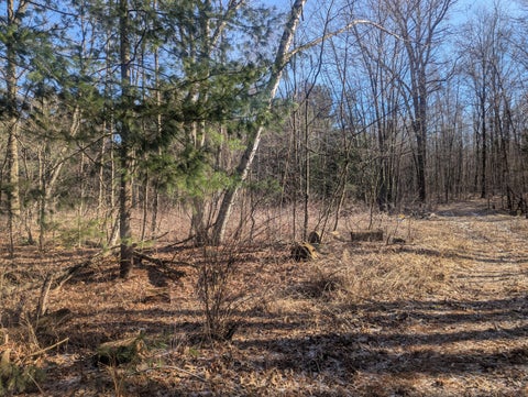 Photo for 00 E East Road