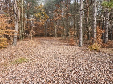 Photo of VL 5 acres 9 Mile Road, Kaleva, MI 49645 (MLS # 26021626)